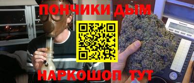 прущие грибы Кунгур