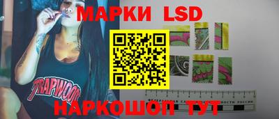 прущие грибы Кунгур