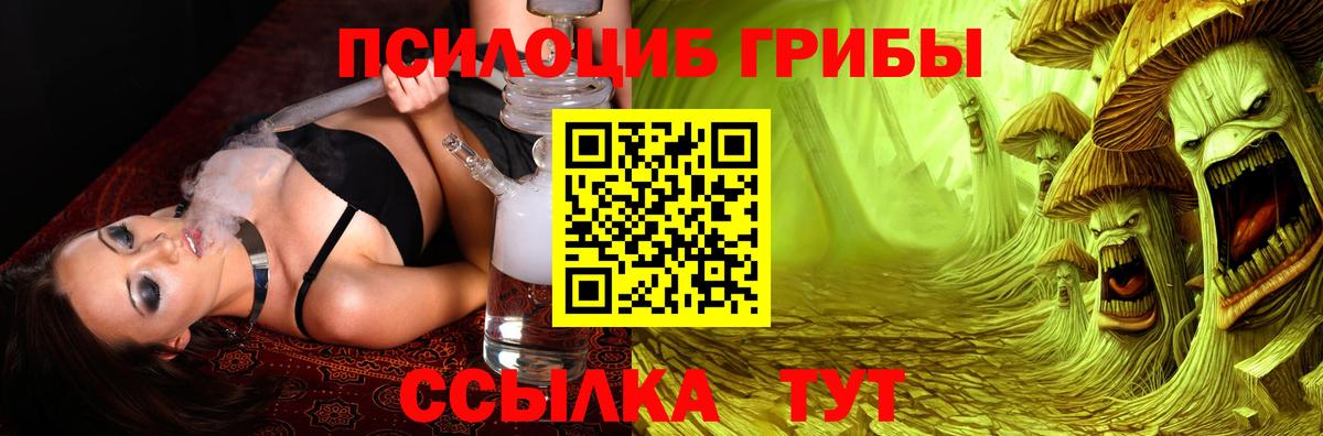 Углич  Псилоцибиновые грибы Cubensis  магазин продажи   Вход с VPN 